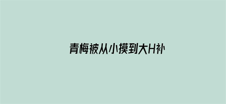 >青梅被从小摸到大H补课横幅海报图